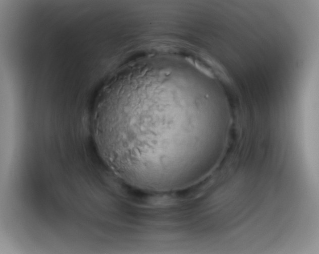 X0000114540465200910191345