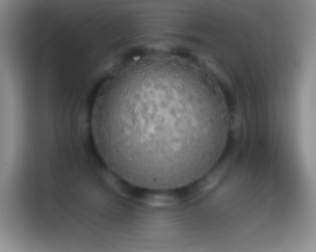 X0000114540466200910191345