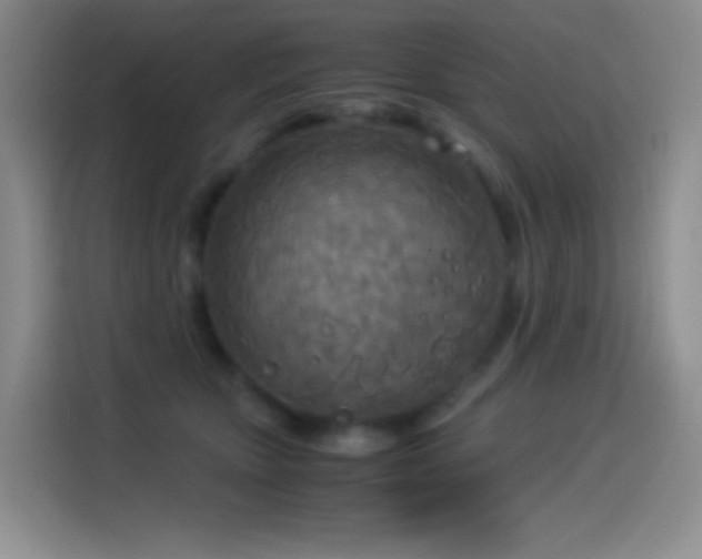 X0000114540467200910191345