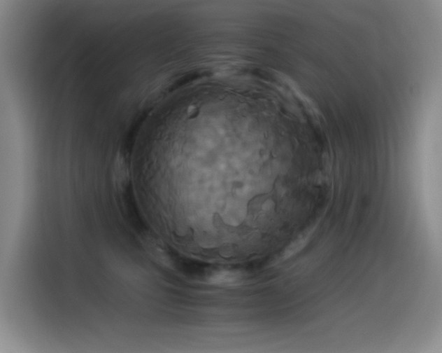 X0000114540471200910191345