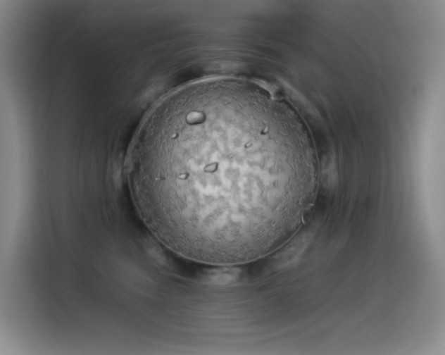 X0000114540474200910191345