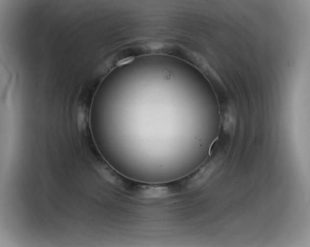 X0000114540476200910191345