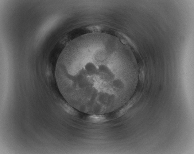 X0000114540477200910191345