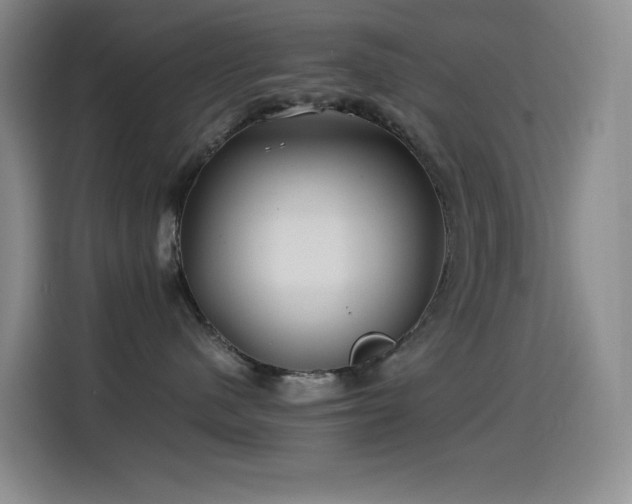 X0000114540480200910191345