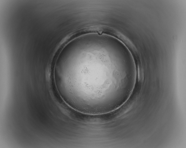 X0000114540483200910191345