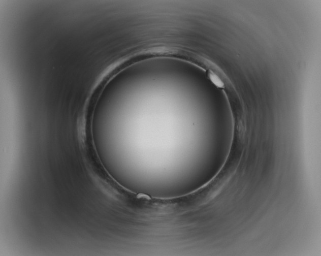 X0000114540484200910191345