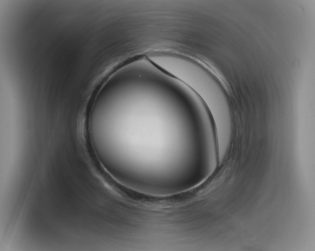 X0000114540485200910191345