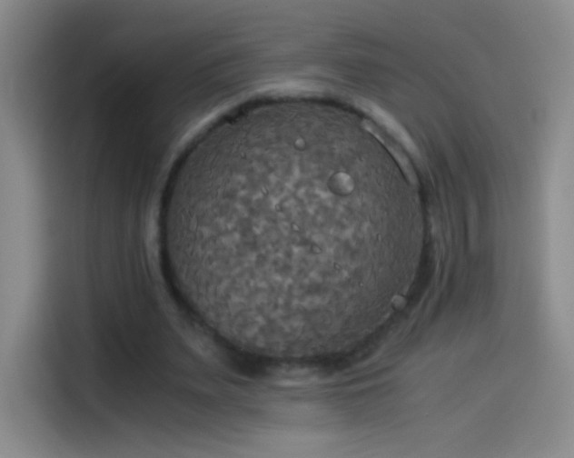 X0000114540487200910191345