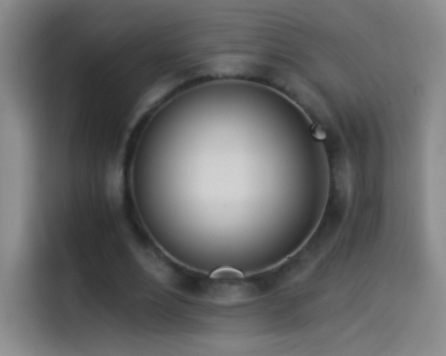 X0000114540488200910191345