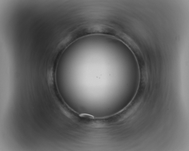 X0000114540489200910191345