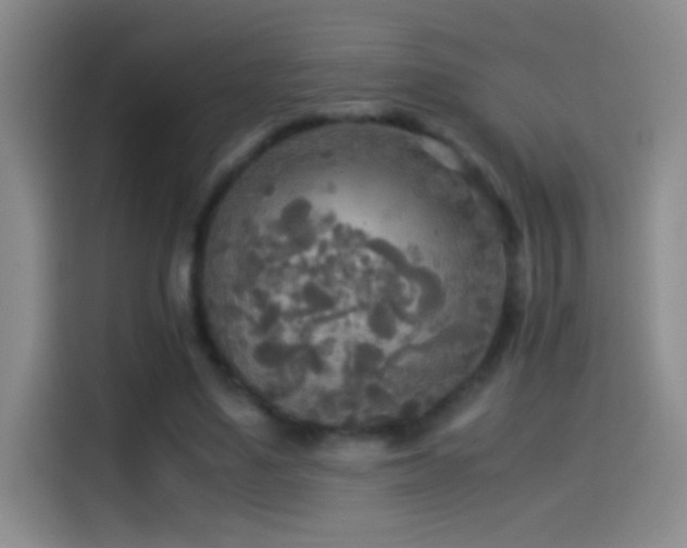 X0000114540491200910191345