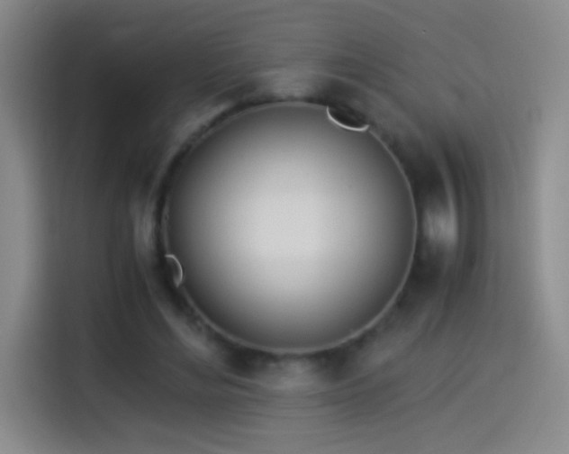 X0000114540492200910191345