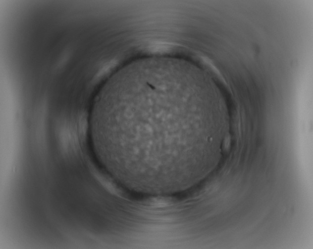 X0000114540495200910191345