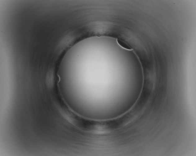 X0000114540496200910191345