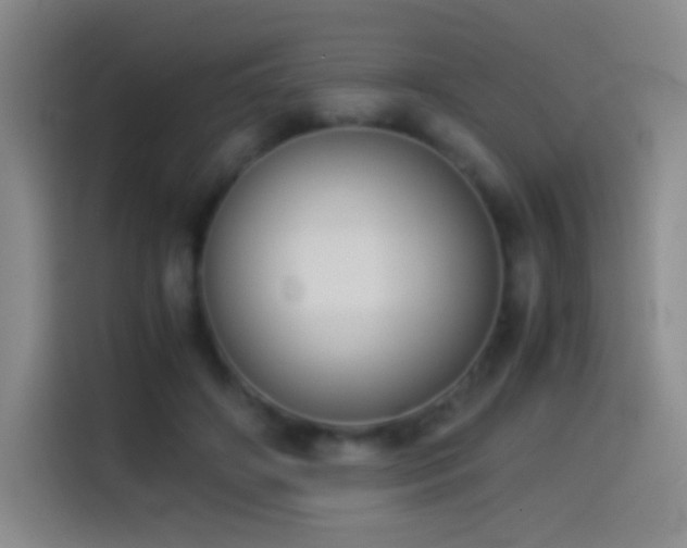 X0000114540498200910191344