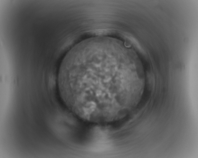 X0000114540499200910191344