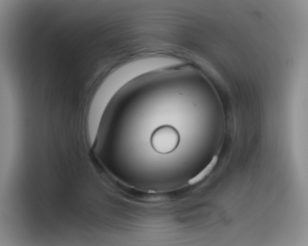 X0000114540501200910191344