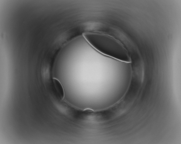 X0000114540504200910191344