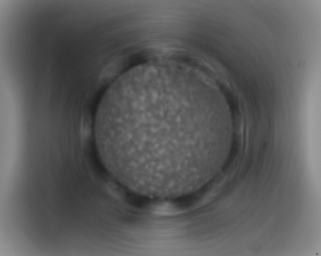 X0000114540507200910191344