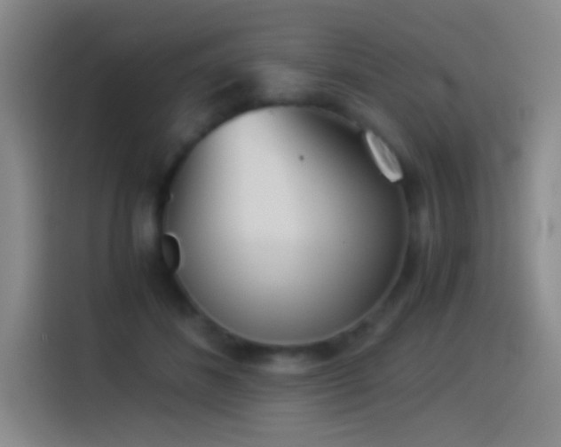 X0000114540508200910191344