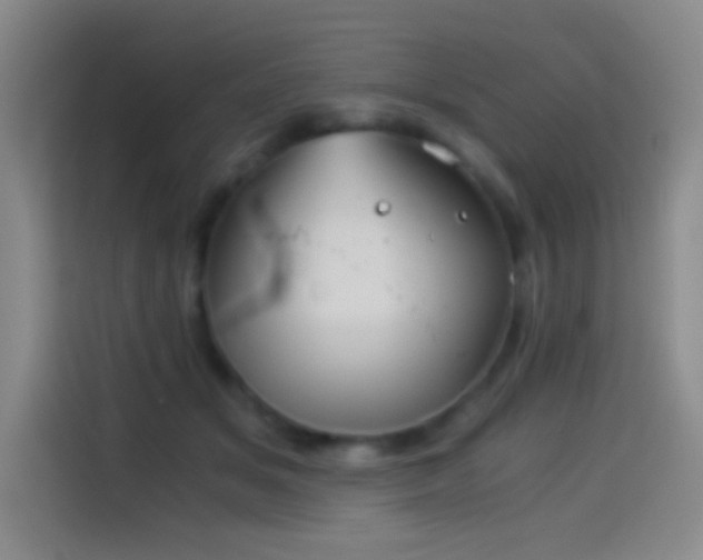 X0000114540509200910191344