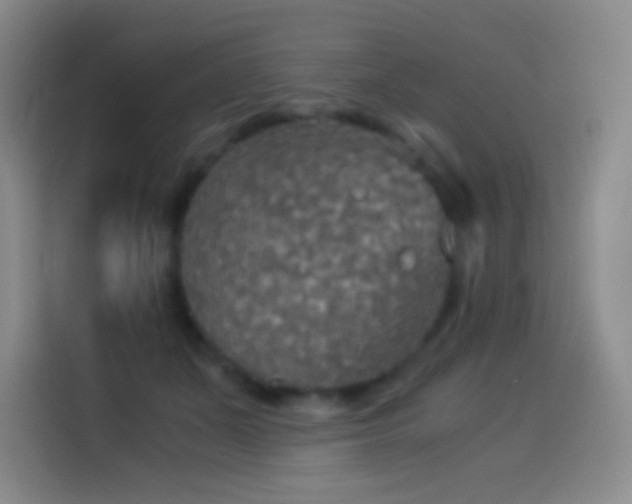 X0000114540511200910191344