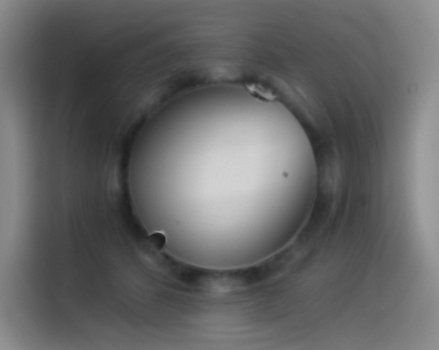 X0000114540512200910191344