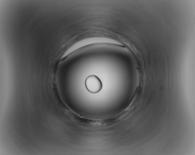 X0000114540521200910191344