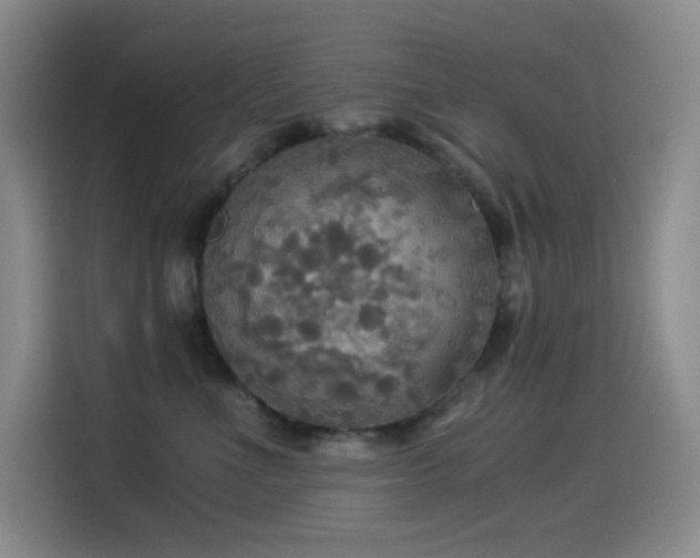 X0000114540523200910191344