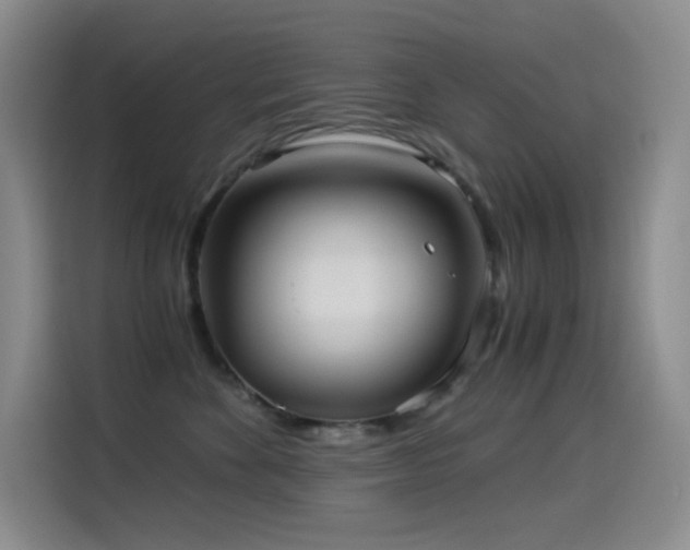 X0000114540524200910191344