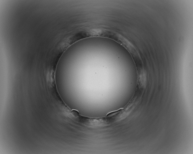 X0000114540525200910191344