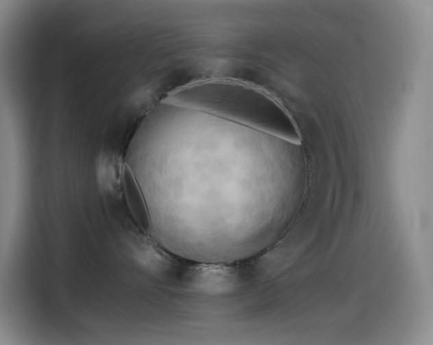 X0000114540528200910191344