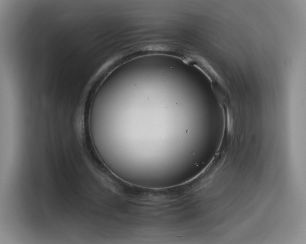 X0000114540531200910191344