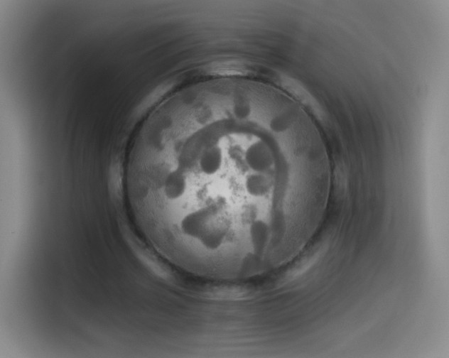 X0000114540533200910191344