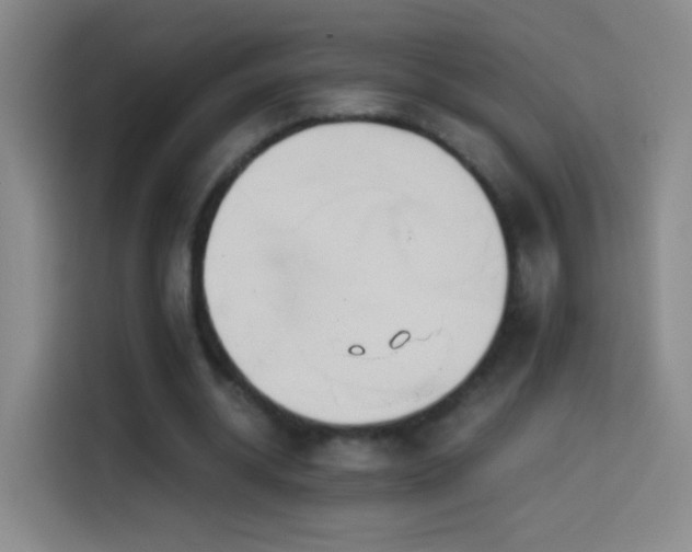 X0000114540534200910191344