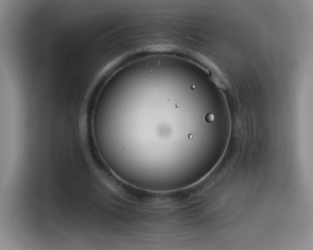 X0000114540535200910191344