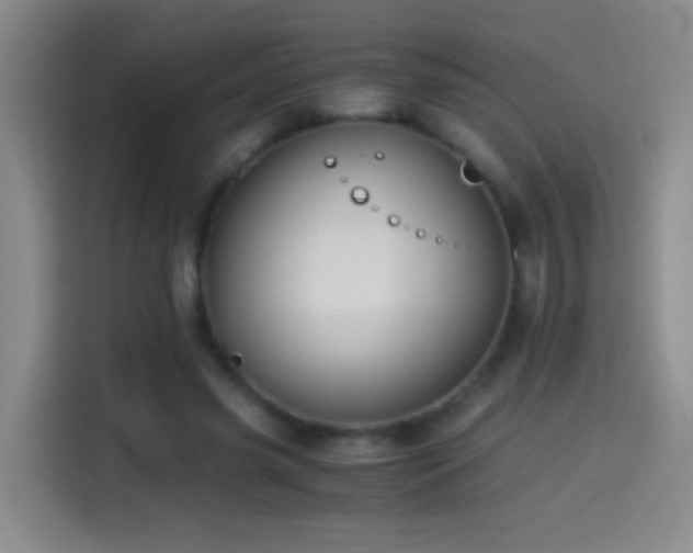 X0000114540541200910191344