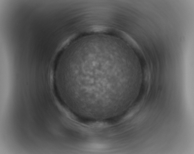 X0000114540542200910191344