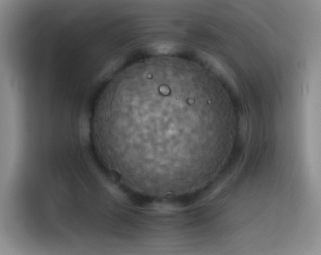 X0000114540545200910191344