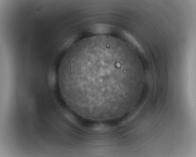 X0000114540549200910191344