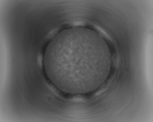 X0000114540550200910191344