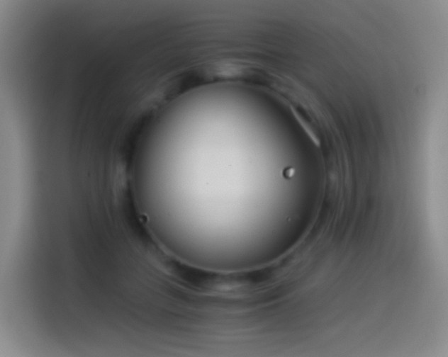 X0000114540555200910191344