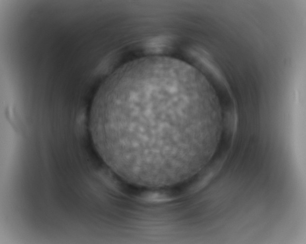 X0000114540557200910191344