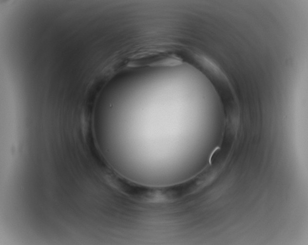 X0000114540558200910191344