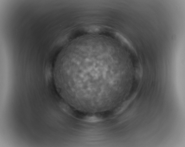 X0000114540561200910191344