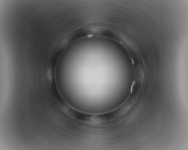 X0000114540562200910191344