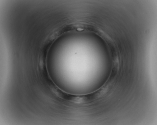 X0000114540566200910191344