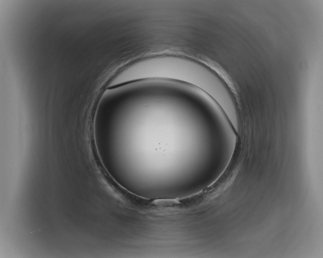 X0000114540577200910191343