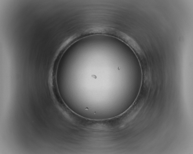 X0000114540578200910191343