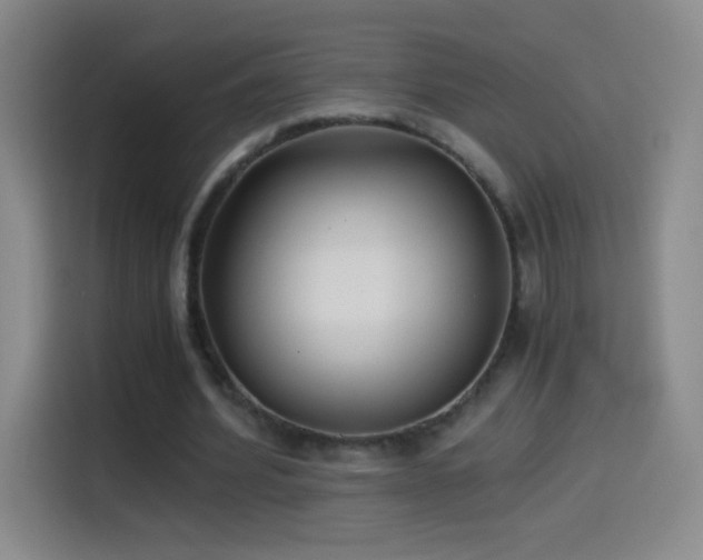 X0000114540580200910191343